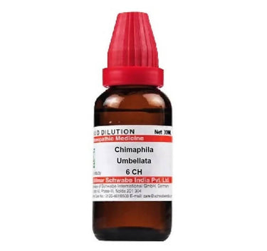 https://cdn.shopify.com/s/files/1/1857/6931/products/g8E8LPbmL5.jpg?v=1641293548